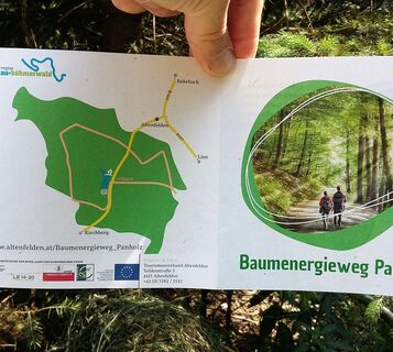 Baumenergieweg Panholz