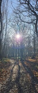 Fotografie de la Tanjasusanna de-a lungul turului