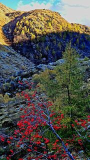 Foto von Fabrizi Mellano entlang der Tour