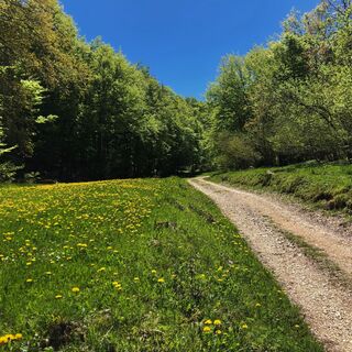 Weg zur Côtière
