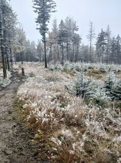 Fotografia z Daniel Kremiec na trase