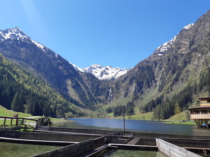 Photo from mmecki along the tour