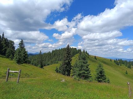 Foto de Žaneta Schelling a lo largo del recorrido