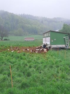 Foto von Marco Sandfort-Wessels entlang der Tour