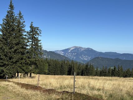 Fotografie de la Georgiamartin0815 de-a lungul turului