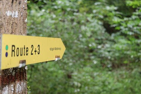 Richtungspfeil Wanderweg