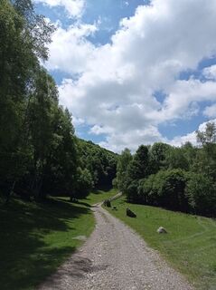 Photo de Aner le long du parcours