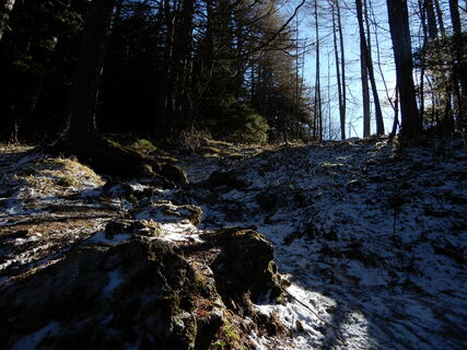 Schneebergdörfl - Hochschneeberg