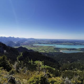 Schönleitenschrofen