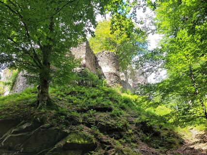 Foto von Susanne Linzbacher entlang der Tour