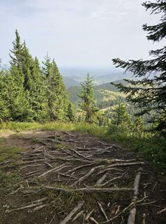 Foto von Martina entlang der Tour
