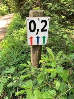 zu Beginn laufen die drei Parcours noch  parallel