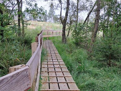 Holzsteg am Piwitt