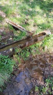 Photo de Leo Flatscher le long du parcours