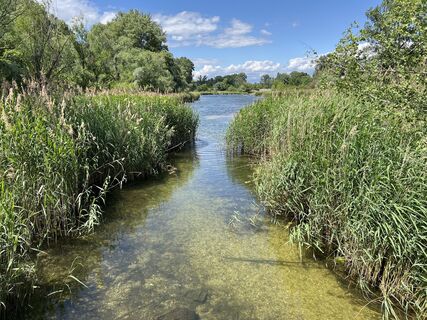 Foto von Teshome Bayou Temesgen entlang der Tour