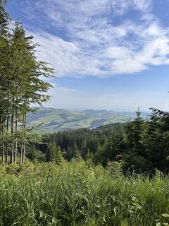Fotografija s spletne strani Babs Holz na poti