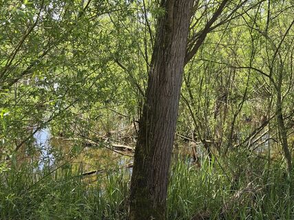 Foto de Monika Hein a lo largo del recorrido