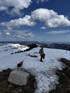 Fotografija s spletne strani Daniel na poti