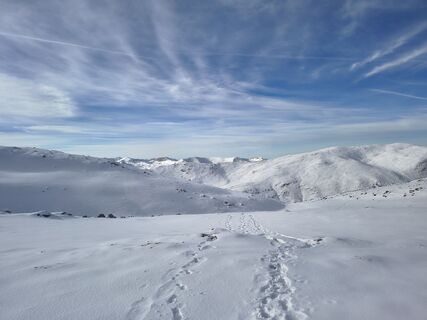Fotografija s spletne strani Patrizia Seppi na poti