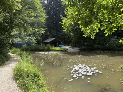 Foto von Hans-Ulrich Ingold entlang der Tour