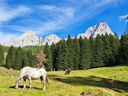 Foto von ChristianeVogt entlang der Tour