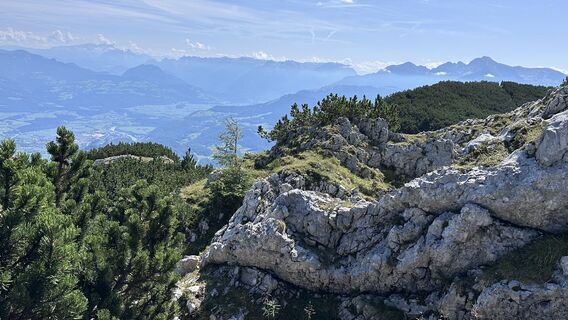 Foto von Mountain Cat ? ⛰️ entlang der Tour