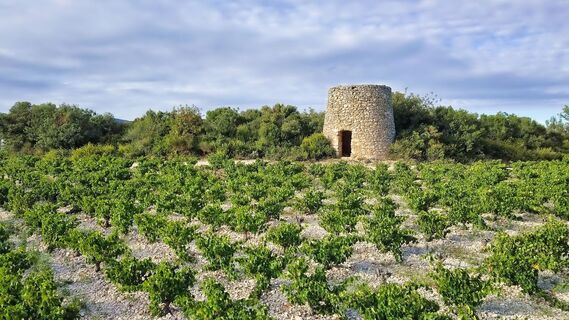 Ancien_Moulin_St-Jean-Minervois_-_E_Brendle