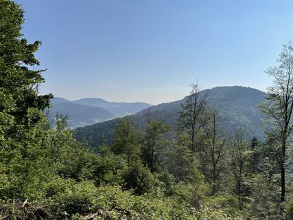 Aussicht vom Aussichtspunkt Willy-Kern-Hütte
