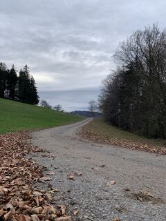 Foto von Leo Fahrngruber entlang der Tour