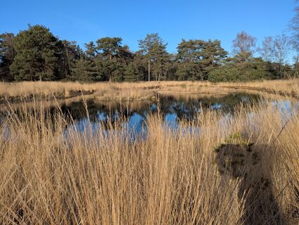 Photo de Matje Derks le long du parcours