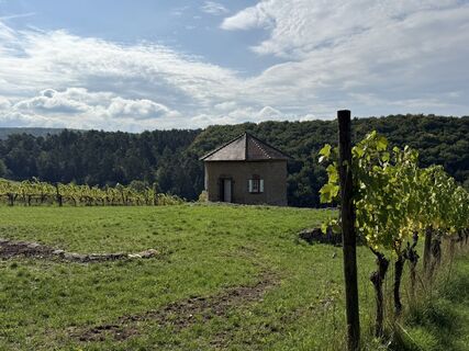 Фото с сайта Norbert Herbig во время экскурсии