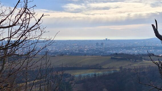 Foto von Regina Fleischmann entlang der Tour