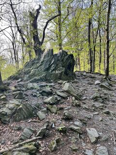 Foto de Kamil Gałuszka a lo largo del recorrido