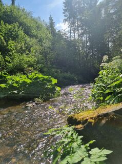 Foto von Christina Fröhlich entlang der Tour