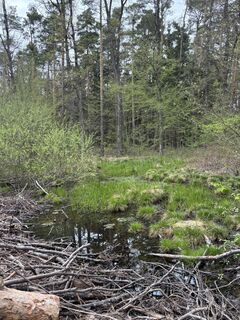 Foto de RS76 a lo largo del recorrido