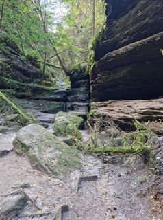 Fotografie de la Dima de-a lungul turului