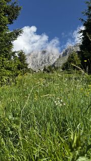 Fotografija s spletne strani ROBERTO BONIOTTI na poti