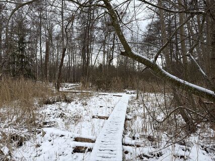 Foto von Anita Maigler entlang der Tour