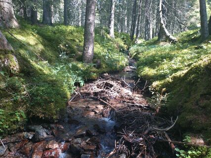 Fotó a Mandy Schröter 2 honlapról a túra során