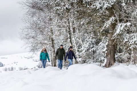 Hochmoor im Winter