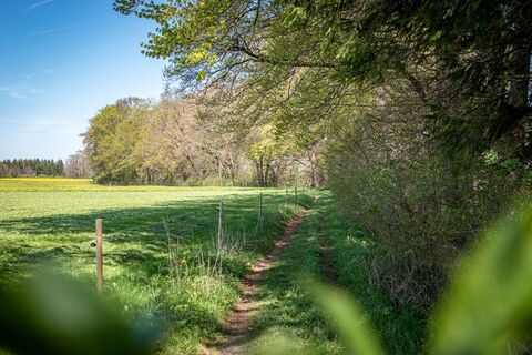Wanderweg bei Hohendilching