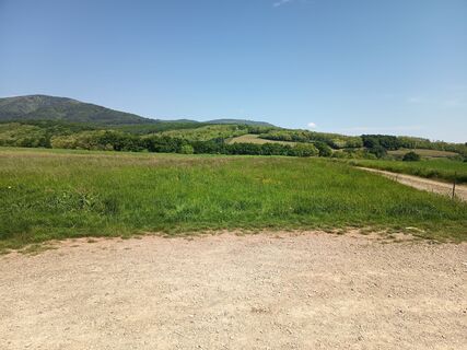 Photo de Daniel BELAT le long du parcours