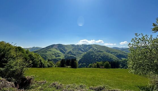 Zemljevid