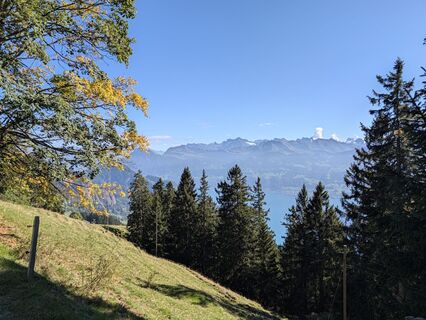 Fotografija s spletne strani Mark Neill na poti
