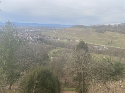 Fotografia z Torsten Müsse na trase