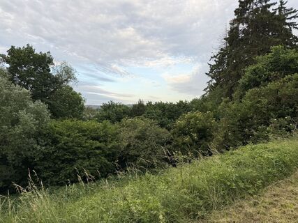 Foto von Schaali entlang der Tour