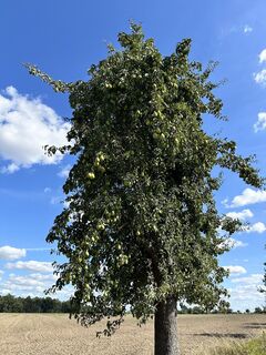 Foto fra Thomas Schönstein underveis på turen