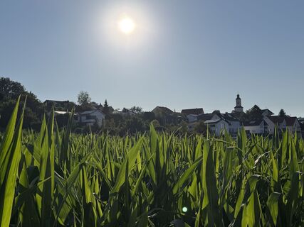 Foto von Schaali entlang der Tour