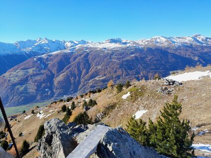 Fotografija s spletne strani ellenri na poti
