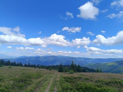 Foto de Žaneta Schelling a lo largo del recorrido